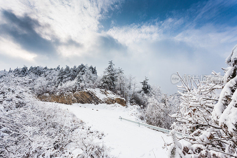 山上的树木覆盖着白霜和白雪