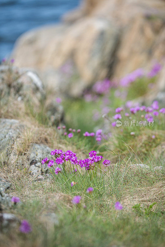 海节俭山