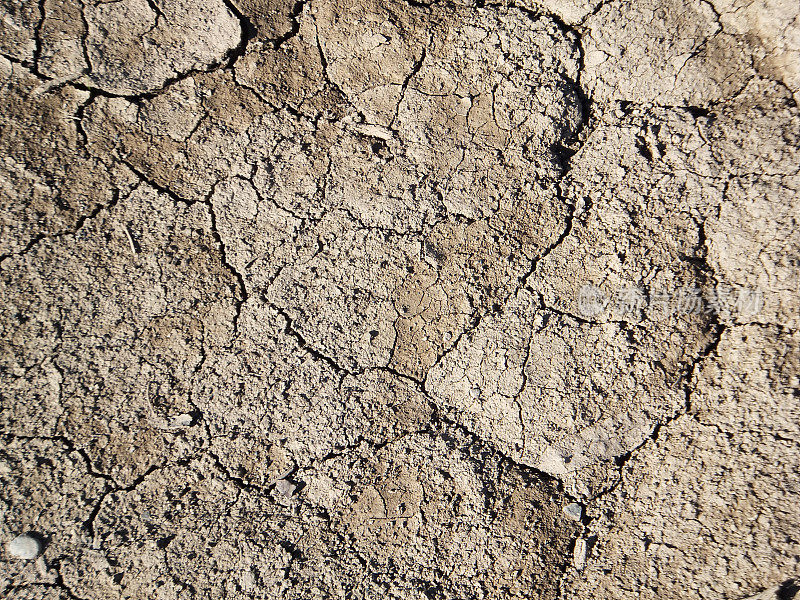 干旱引起的土壤裂缝