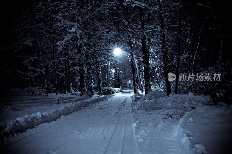 冬季森林景观，夜景和硒色调