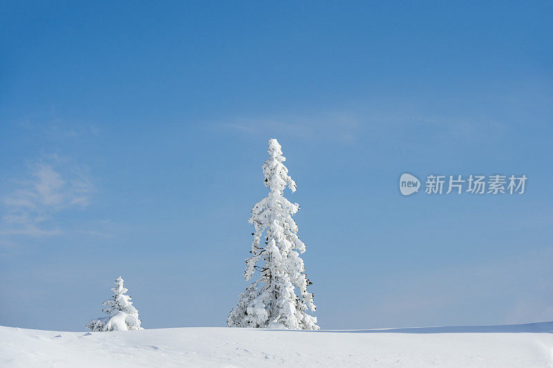 山里的晴天