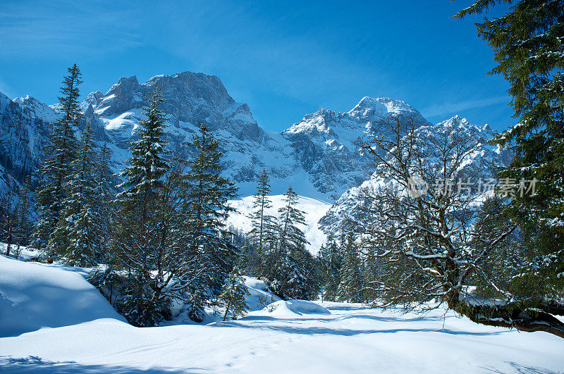 阿尔卑斯山