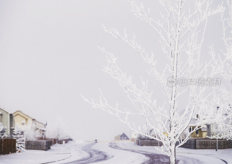 大雪期间科罗拉多州的居民区