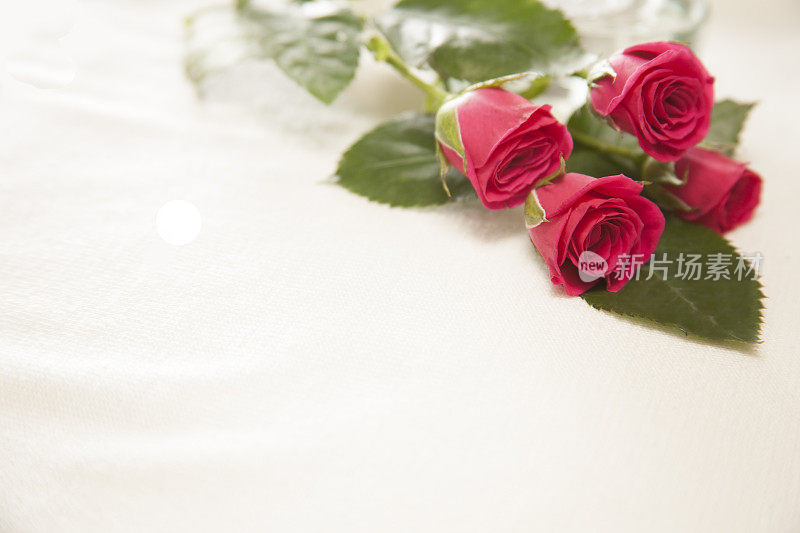 情人节快乐!红玫瑰花束白色。