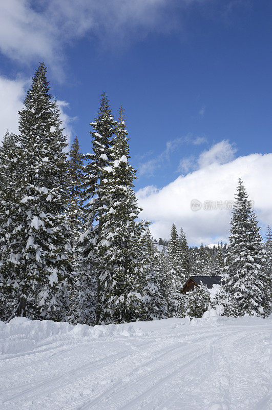 最近一场暴风雪后，积雪覆盖的道路