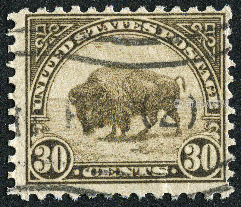美洲野牛的邮票