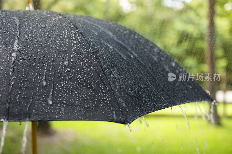 雨天。雨点落在户外的黑色雨伞上。春天,夏天。