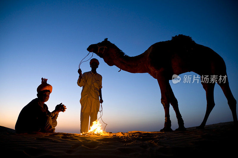 印度骆驼旅行