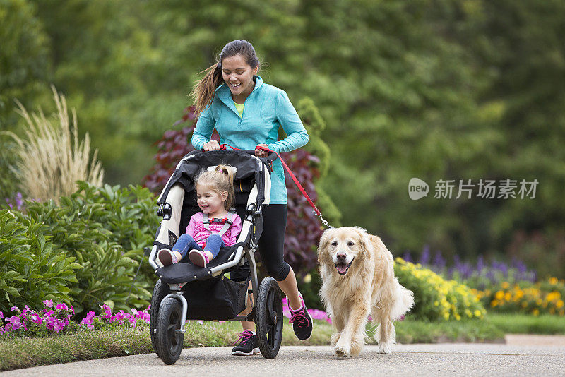 慢跑者与金毛猎犬和婴儿慢跑者在铺平的小径上。