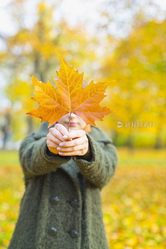 《和枫叶在一起的女人