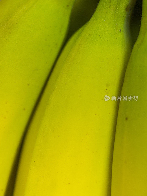香蕉束特写与黄色和淡绿色垂直