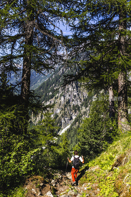 一名男子徒步进入瑞士森林