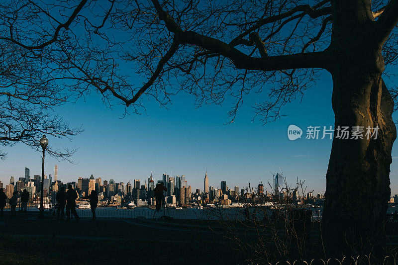 从新泽西看曼哈顿城市景观与框架树