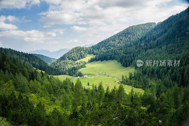 朱利安阿尔卑斯山的高山牧场。