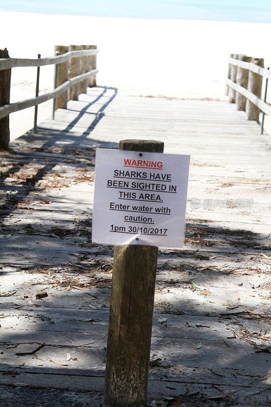 澳大利亚昆士兰海滩上的鲨鱼警告标志