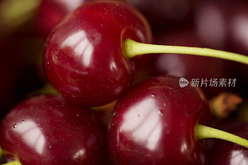 新鲜樱桃的特写