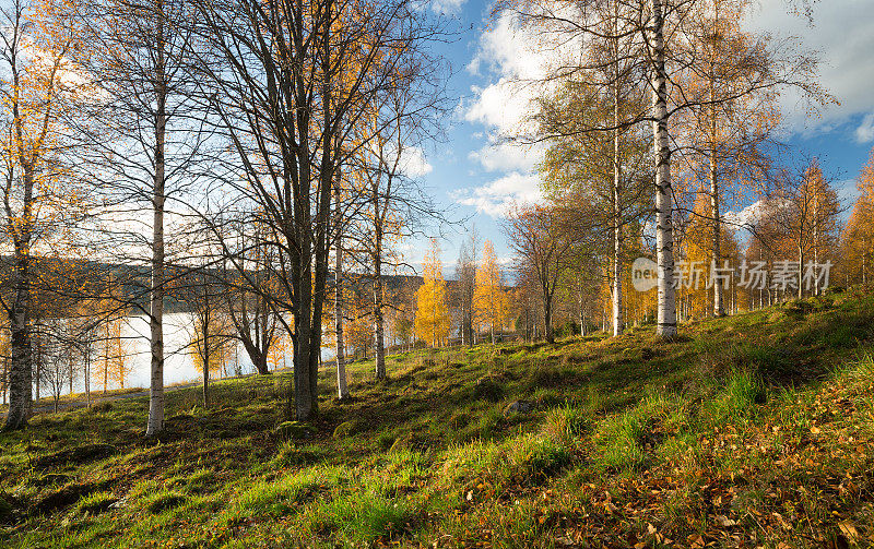 以树木和湖泊为背景的瑞典秋景