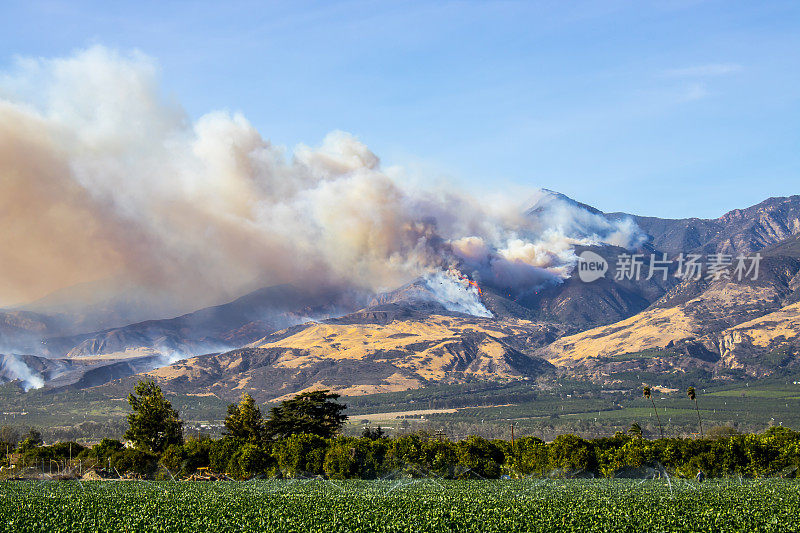 直升飞机在加州山火中作战