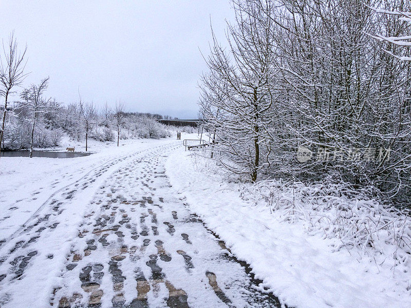 萨尔布鲁公园的雪。威托利亚-加斯泰兹。西班牙