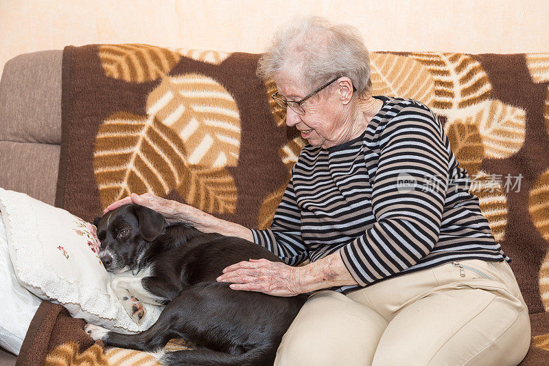 奶奶和一只狗在沙发上
