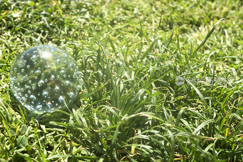 苔藓上的水晶绿球