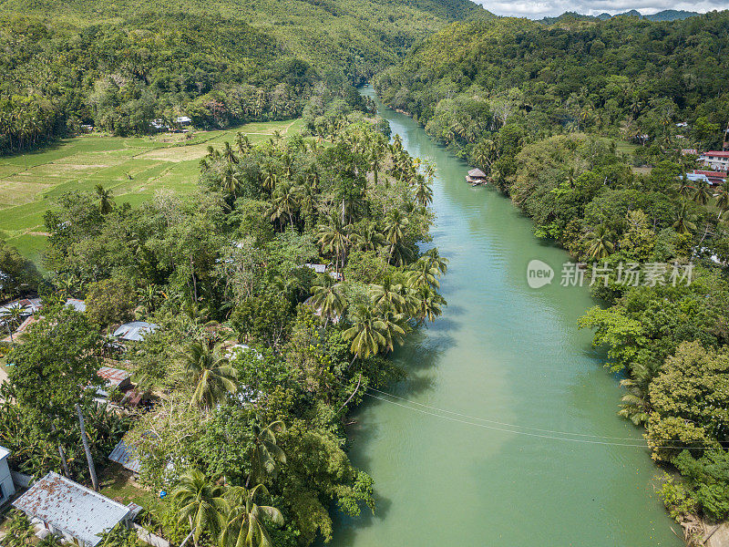 无人机鸟瞰菲律宾热带河上的棕榈树