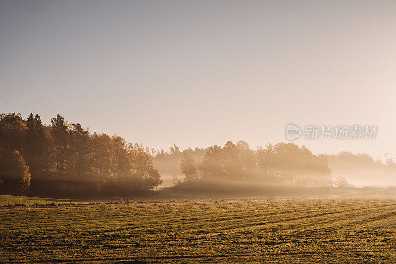 美丽的秋天自然景观在十月多雾