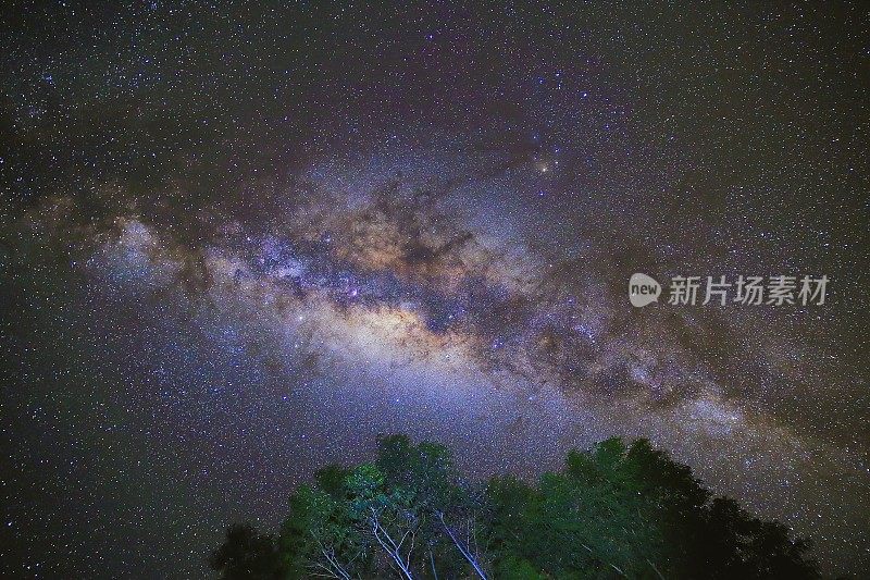 银河银河之上幽静的安第斯山脉树木-星星景观，秘鲁的夜晚