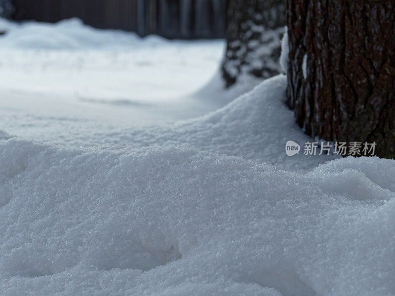 地上有雪