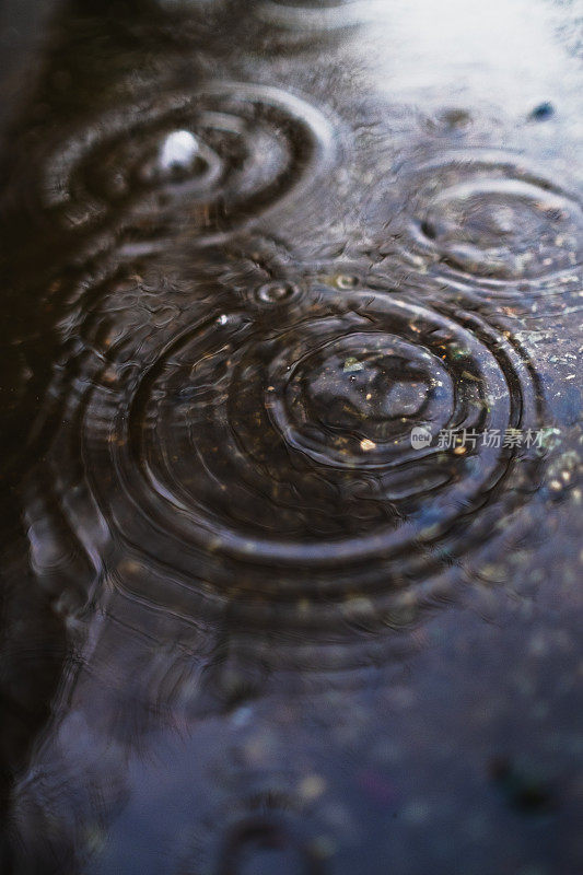 在一个阴沉的冬日，雨点落在路边的水坑里。