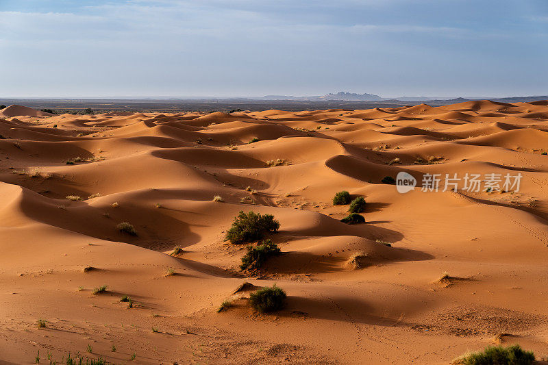 巨大的橙色沙状沙丘和多云的天空在Merzouga沙漠，摩洛哥。