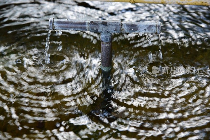 三竹山-干净的水