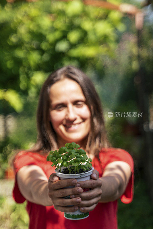 照顾花园中的植物。园艺和农业。在菜园里耕种着耕地。