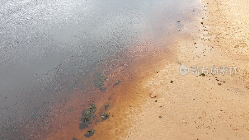 海岸边有沙滩、海藻和水