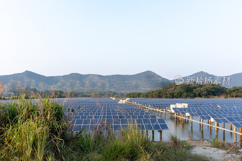 太阳能电池板和风力涡轮机