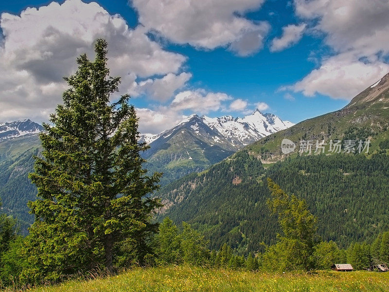 的大格洛克纳山