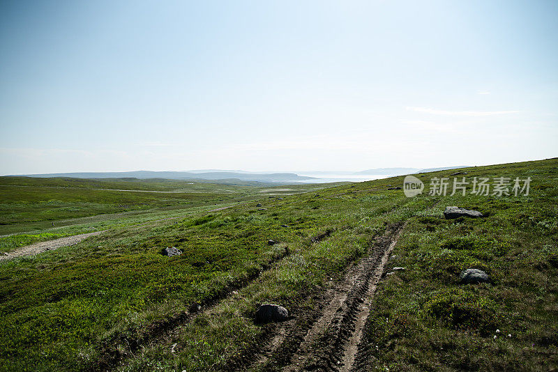 一座长满青草、苔藓和小灌木的绿色山丘