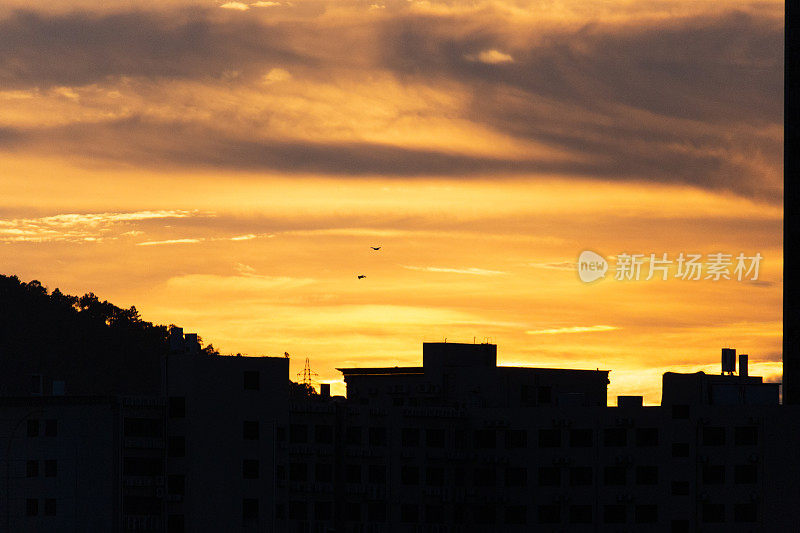 两只鸟在日落黑影的天空中飞翔