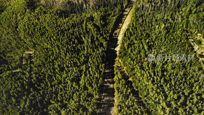 微风和阳光明媚的夏日空中和景观的大Mesa国家森林和65高速公路从上面