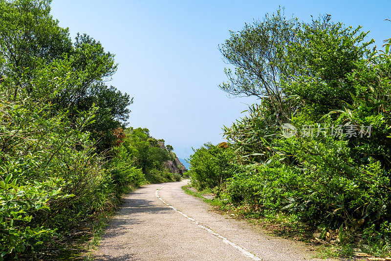 空荡荡的柏油路穿过一座山，香港