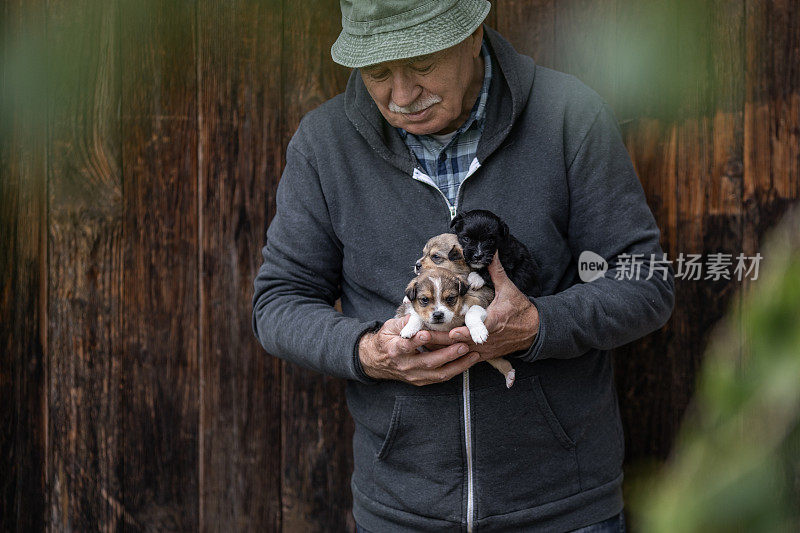 老人在和小狗玩