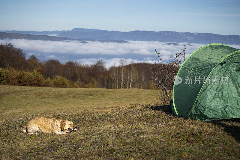 带着风景露营