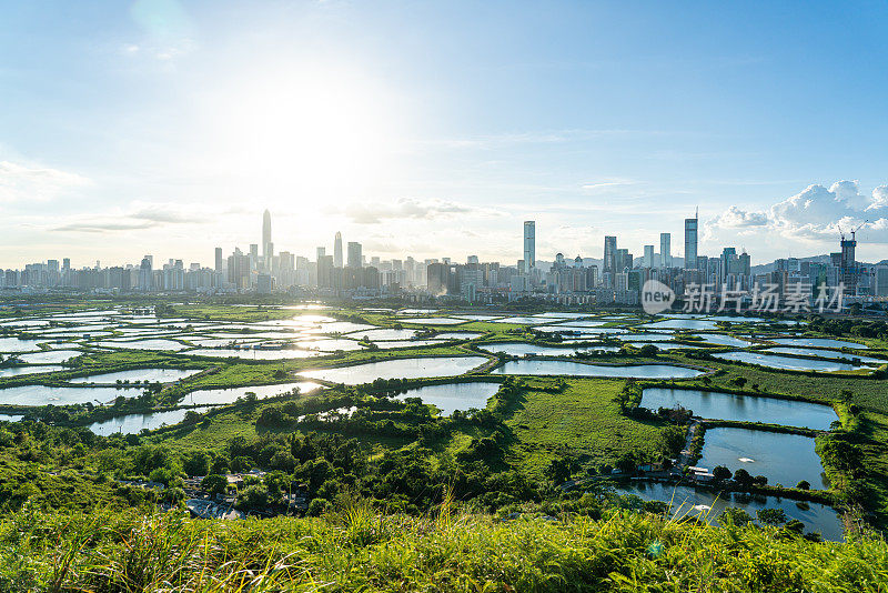 香港的养鱼场和城市景观在日出