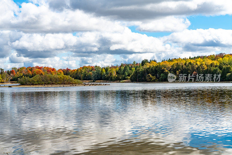 加拿大安大略省奥兰治村秋季五彩缤纷的岛屿湖保护区