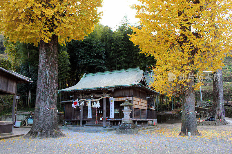 日本大分别府八坂神社周围。