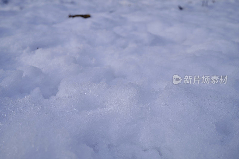 雪的背景