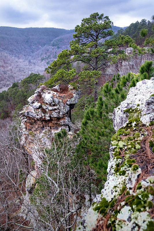 欧扎克山区Vista