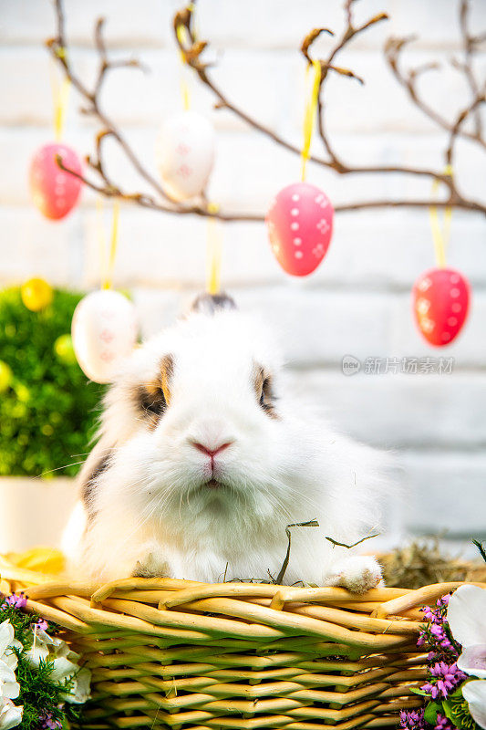 小白兔坐在篮子里，粉红色的彩蛋装饰挂在树上。