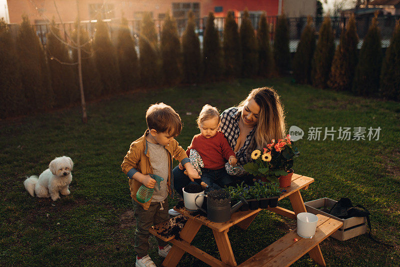 年轻的母亲和她的孩子们一起在花园里种花