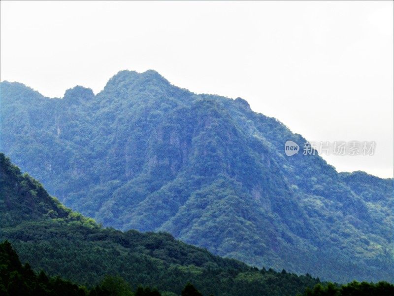 日本的蓝山。